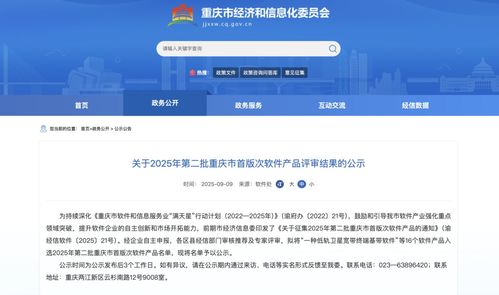 2025年第二批重慶市首版次軟件產品名單公示，引領行業創新與發展